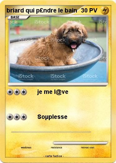 Pokemon briard qui p£ndre le bain