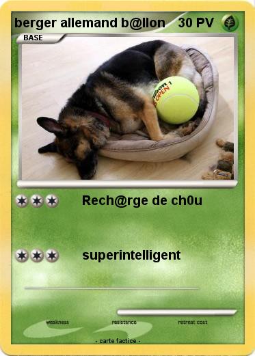 Pokemon berger allemand b@llon