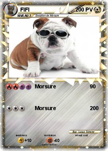 Pokemon FIFI