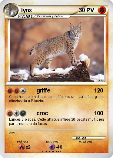Pokemon lynx