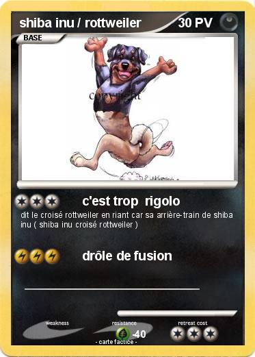 Pokemon shiba inu / rottweiler