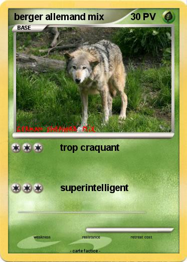 Pokemon berger allemand mix