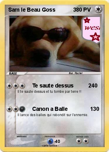 Pokemon Sam le Beau Goss            3