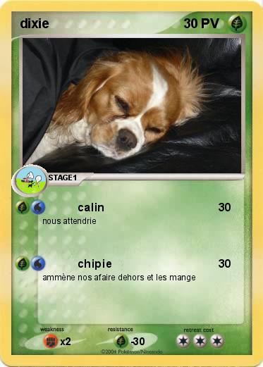 Pokemon dixie