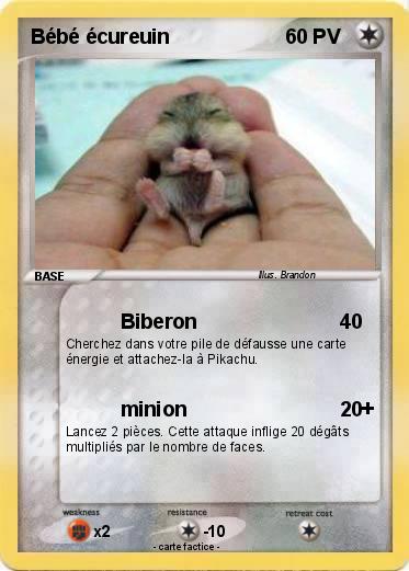 Pokemon Bébé écureuin