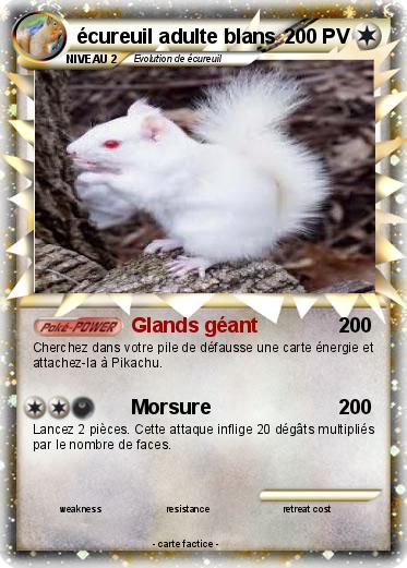 Pokemon écureuil adulte blans