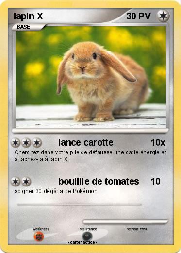 Pokemon lapin X