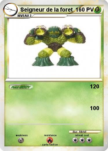 Pokemon Seigneur de la foret
