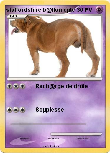 Pokemon staffordshire b@llon cµte