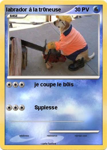 Pokemon labrador à la tr0neuse