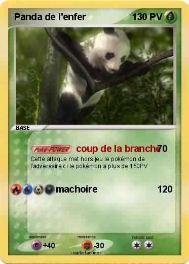 Pokemon Panda de l'enfer