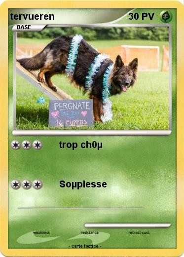 Pokemon tervueren