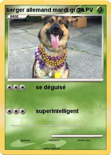 Pokemon berger allemand mardi gr@s