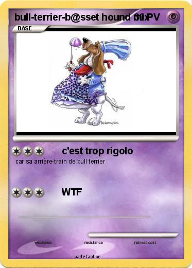 Pokemon bull-terrier-b@sset hound mix