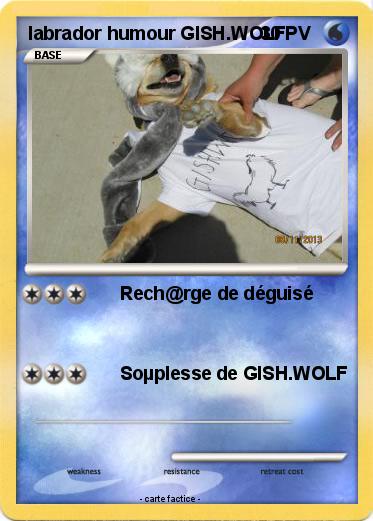 Pokemon labrador humour GISH.WOLF