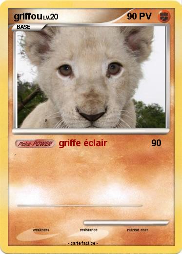 Pokemon griffou