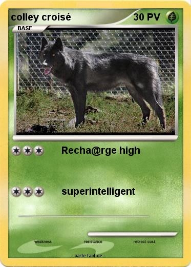 Pokemon colley croisé