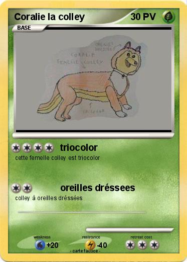 Pokemon Coralie la colley