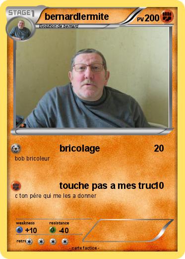 Pokemon bernardlermite