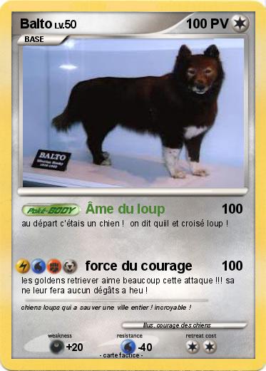 Pokemon Balto