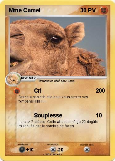 Pokemon Mme Camel