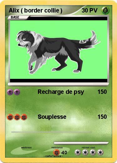 Pokemon Alix ( border collie )