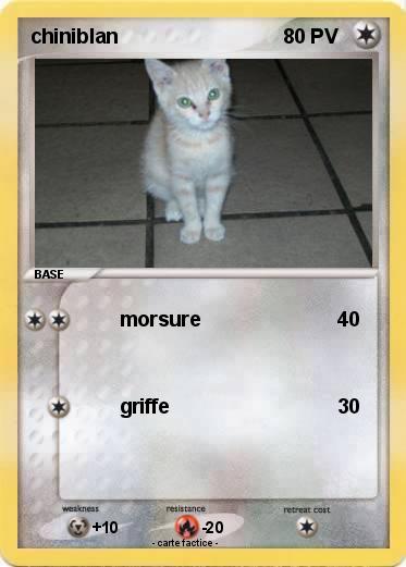 Pokemon chiniblan