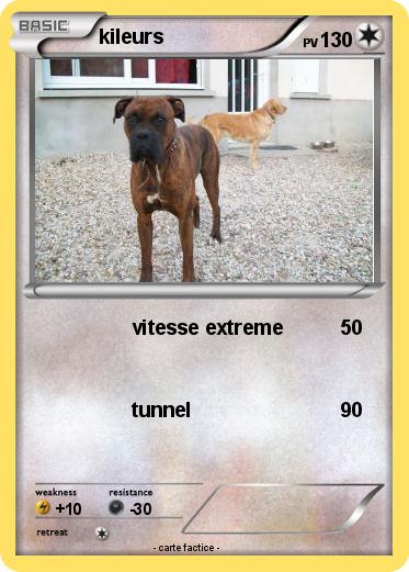 Pokemon kileurs