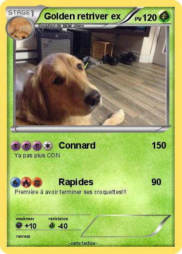 Pokemon Golden retriver ex