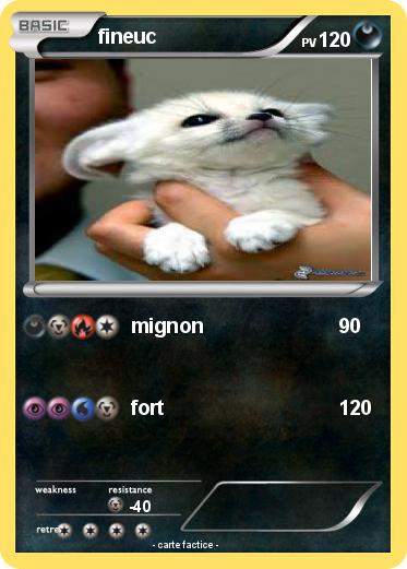 Pokemon fineuc