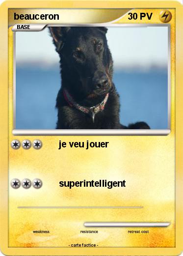 Pokemon beauceron