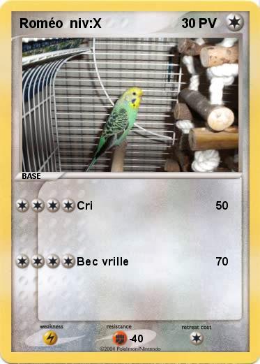 Pokemon Roméo  niv:X