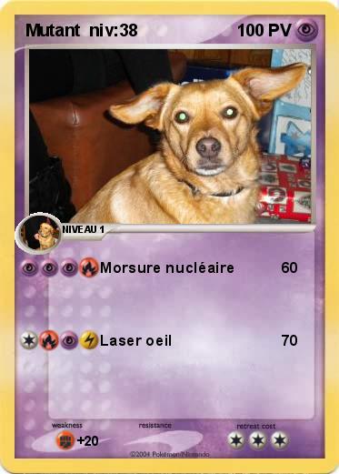 Pokemon Mutant  niv:38