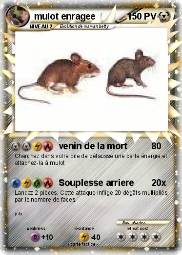 Pokemon mulot enragee