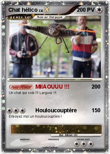 Pokemon Chat hélico