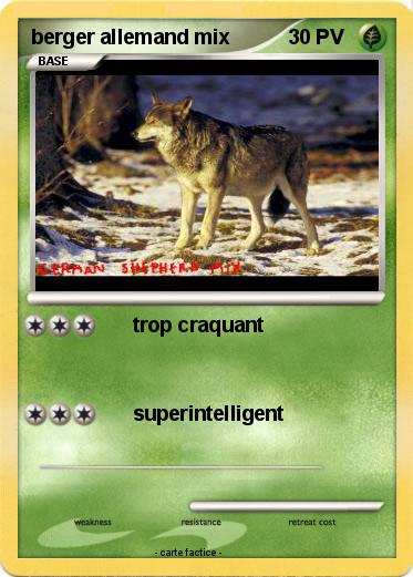 Pokemon berger allemand mix