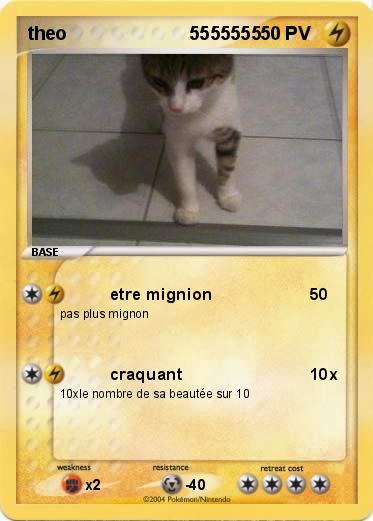 Pokemon theo                        5555555