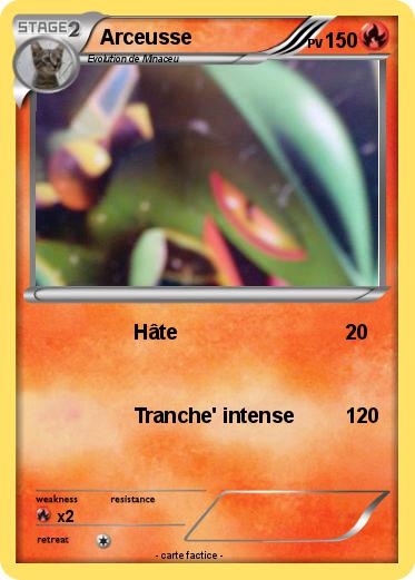 Pokemon Arceusse