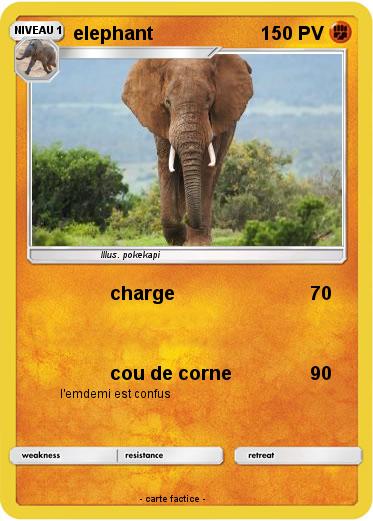 Pokemon elephant