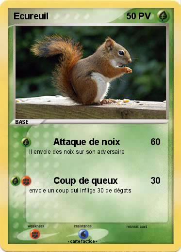 Pokemon Ecureuil
