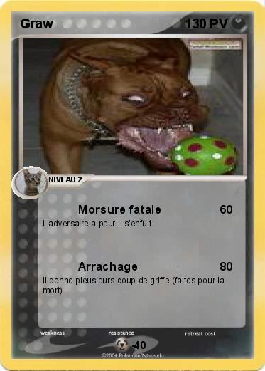 Pokemon Graw