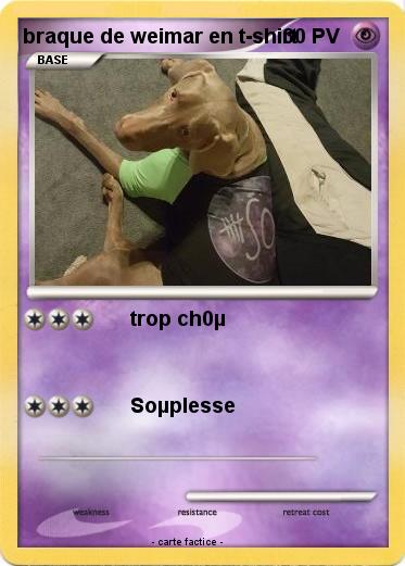 Pokemon braque de weimar en t-shirt