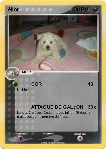Pokemon éliot 
