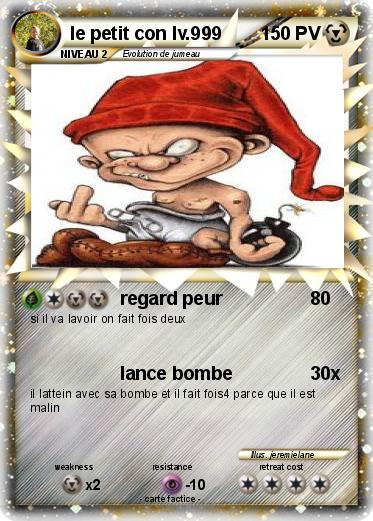Pokemon le petit con lv.999