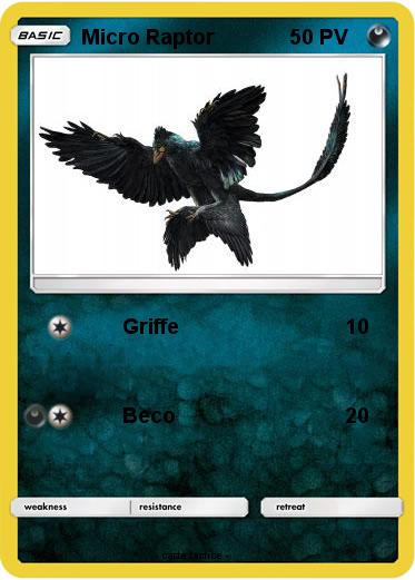 Pokemon Micro Raptor