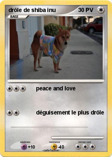 Pokemon drôle de shiba inu