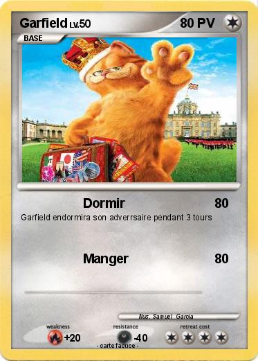 Pokemon Garfield
