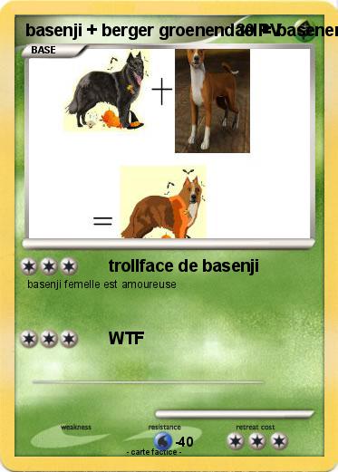 Pokemon basenji + berger groenendael = basenendael mixte sims 3
