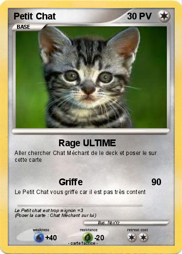 Pokemon Petit Chat
