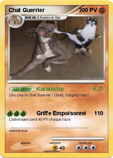 Pokemon Chat Guerrier